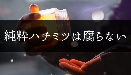 純粋ハチミツに賞味期限はない？！この世で唯一腐らない天然食材を徹底解説