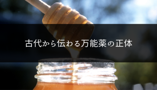 5分で分かるハチミツの栄養と効果・効能